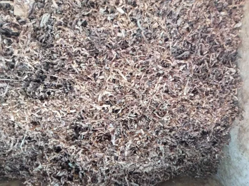 Тютюн Берлі середній 10 кг