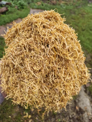 Тютюн Вірджинія Голд легкий 0.5кг